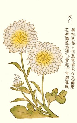 photo36.jpg