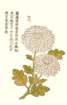 photo37_small.jpg