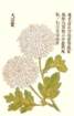 photo46_small.jpg