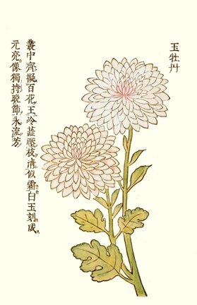 photo9.jpg