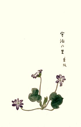 photo14.jpg