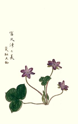 photo20.jpg