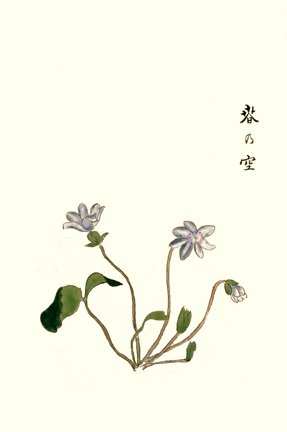 photo23.jpg