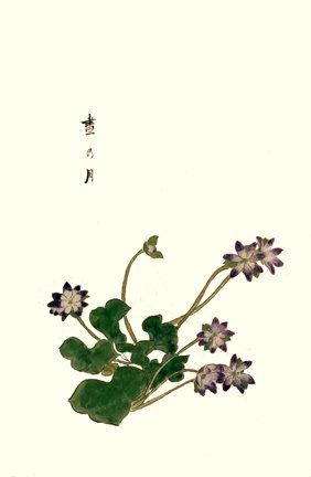 photo25.jpg