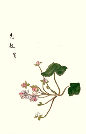photo28.jpg