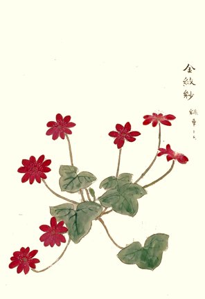 photo3.jpg