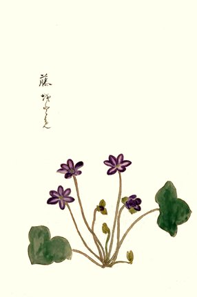 photo35.jpg