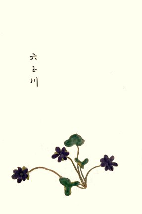 photo37.jpg