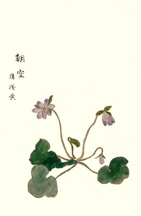 photo40.jpg