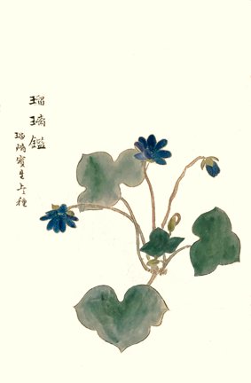 photo42.jpg