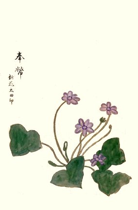 photo46.jpg