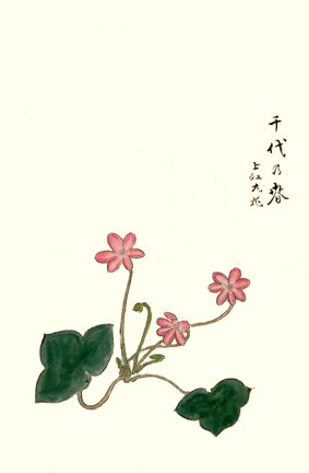 photo47.jpg