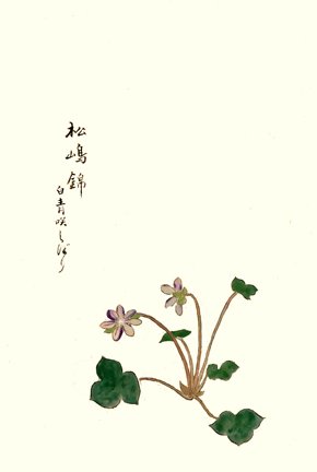 photo53.jpg