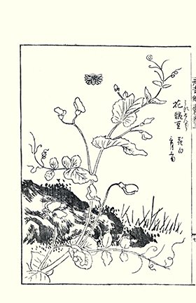 photo13.jpg