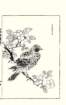photo15_small.jpg