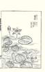 photo17_small.jpg