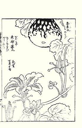 photo18.jpg