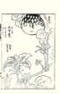 photo18_small.jpg