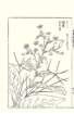 photo20_small.jpg