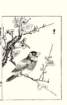 photo21_small.jpg