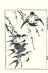 photo22_small.jpg