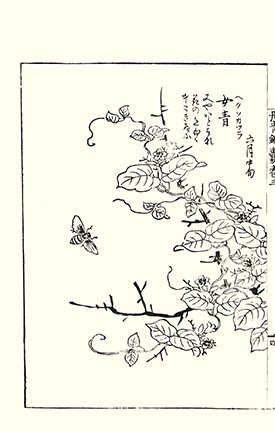 photo25.jpg