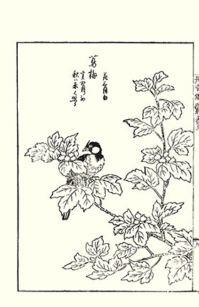 photo29.jpg