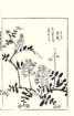 photo33_small.jpg