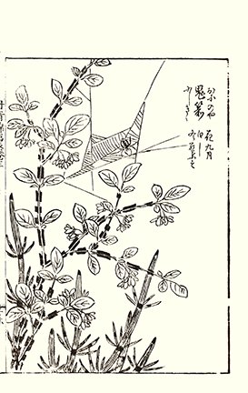 photo34.jpg