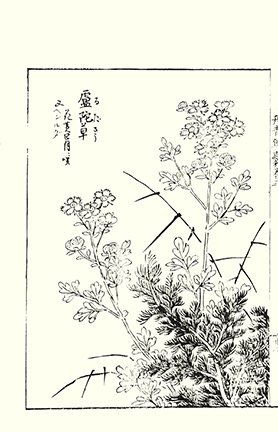 photo36.jpg
