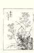 photo36_small.jpg