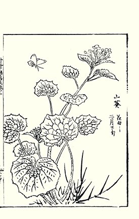 photo38.jpg