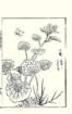 photo38_small.jpg