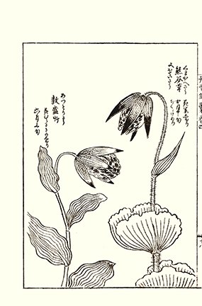 photo42.jpg