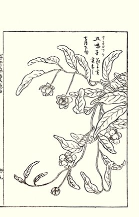 photo43.jpg