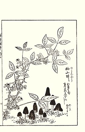 photo49.jpg