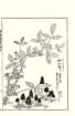 photo49_small.jpg