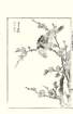 photo50_small.jpg