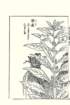 photo54_small.jpg