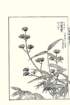 photo57_small.jpg