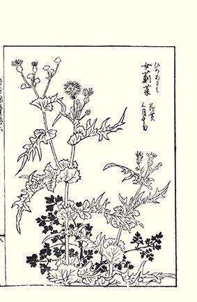 photo58.jpg