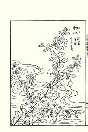 photo60.jpg