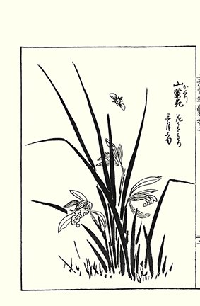 photo9.jpg