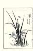 photo9_small.jpg