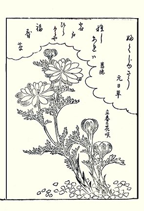 photo.jpg