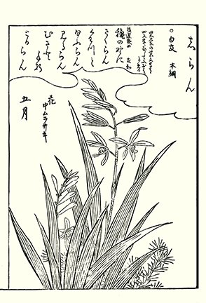 photo114.jpg