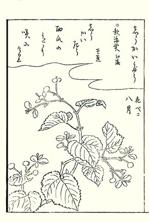 photo115.jpg