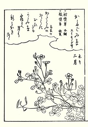 photo19.jpg