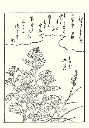 photo40.jpg