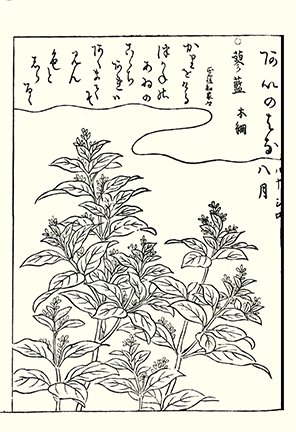 photo50.jpg